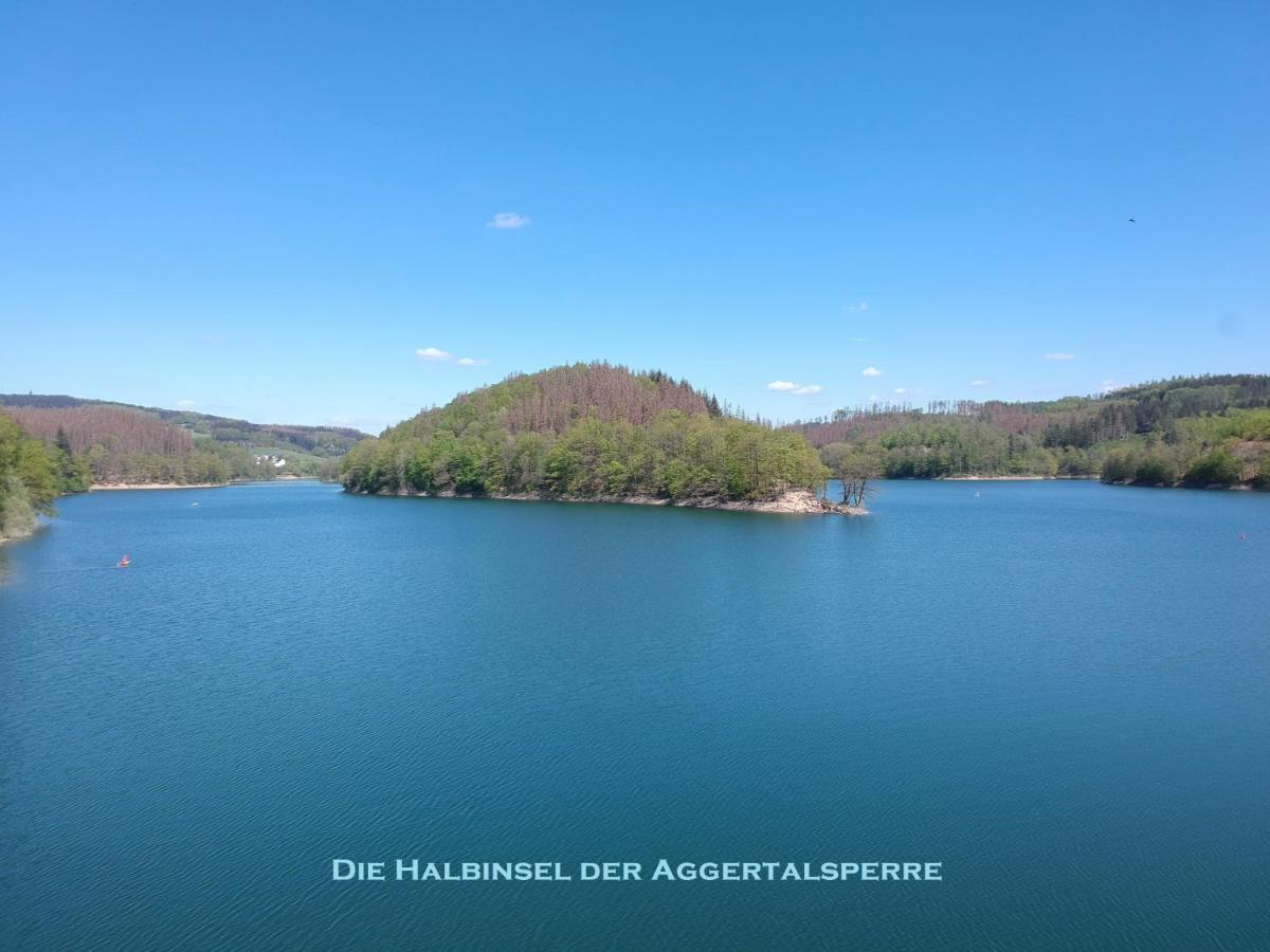 Seeblick-Ferienwohnung Im "Ferienhaus Agger-Blick" Mit Traumhafter Sonnen-Terrasse, Sauna, E-Kamin & Kajak Gummersbach Dış mekan fotoğraf